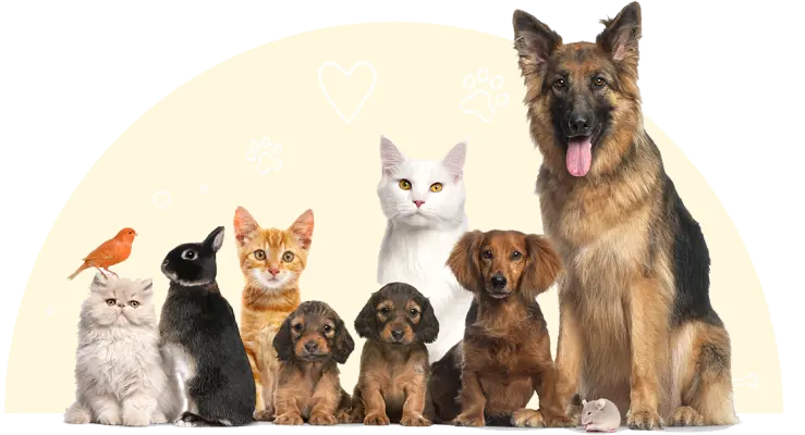 Cats and dogs.